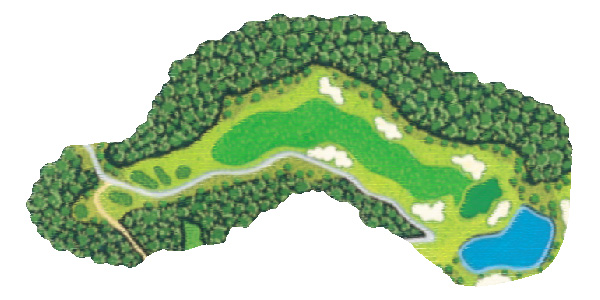 ホール