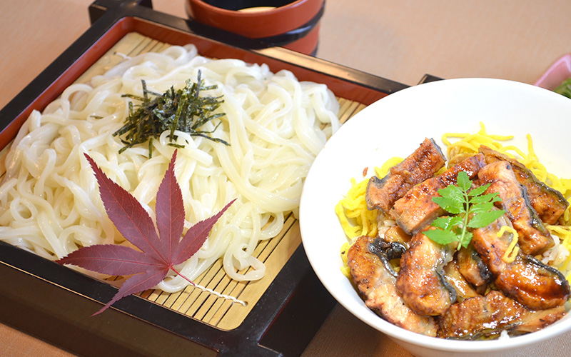 稲庭うどんと鰻丼